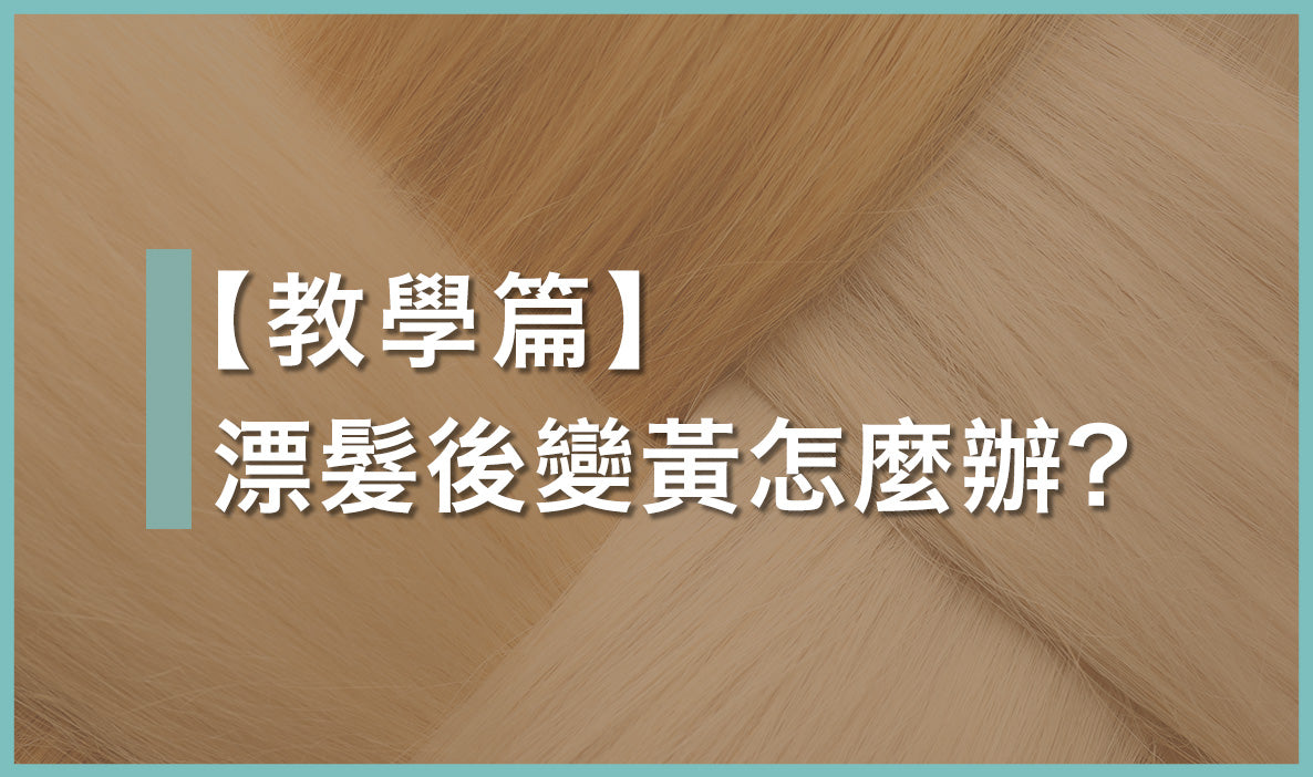 漂髮後變黃怎麼辦？去黃洗頭水與補色劑使用步驟及效果（亞洲髮質適用）