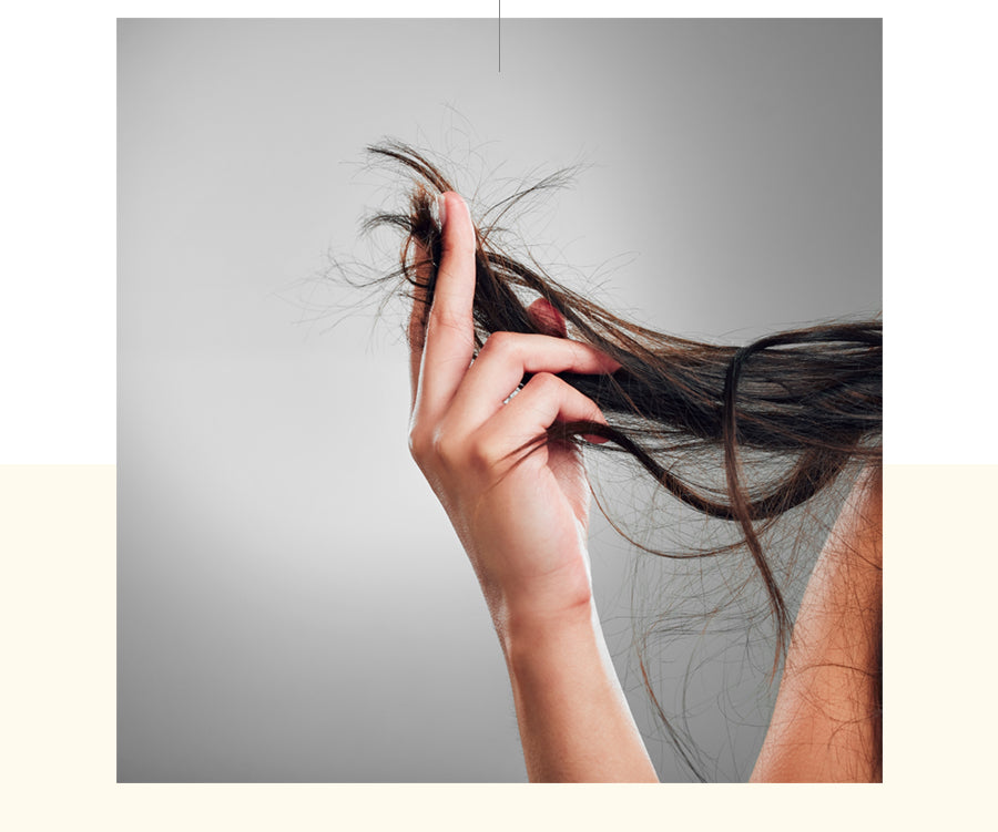 Glampalm GP501T MAX 1.5“ 觸控式專業造型夾 [平面｜板闊1.5寸 ｜有線]